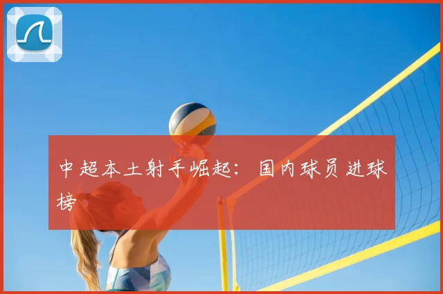 中超本土射手崛起：国内球员进球榜